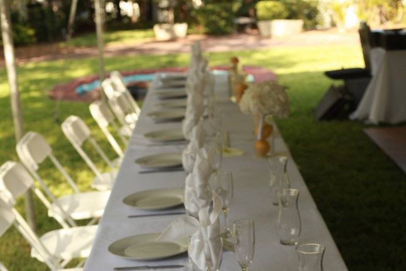 Table setting