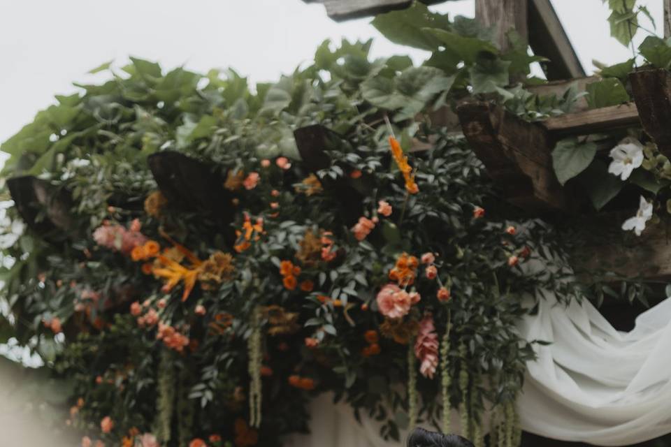 Hacienda Siesta Alegre wedding
