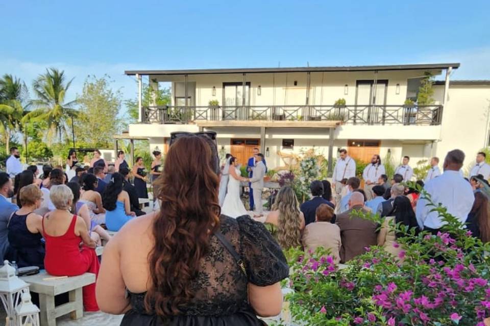 Wedding