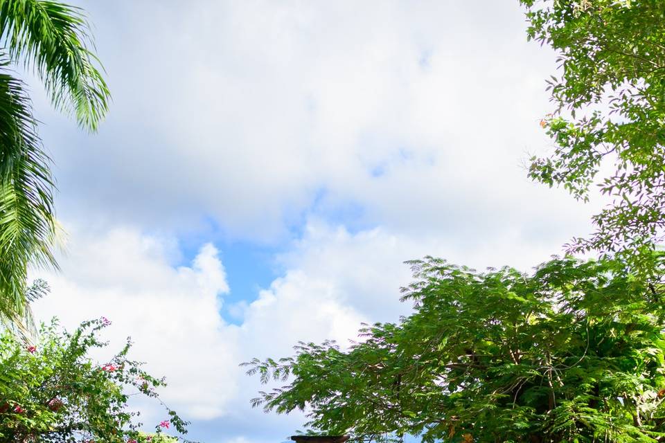 Hacienda Siesta Alegre