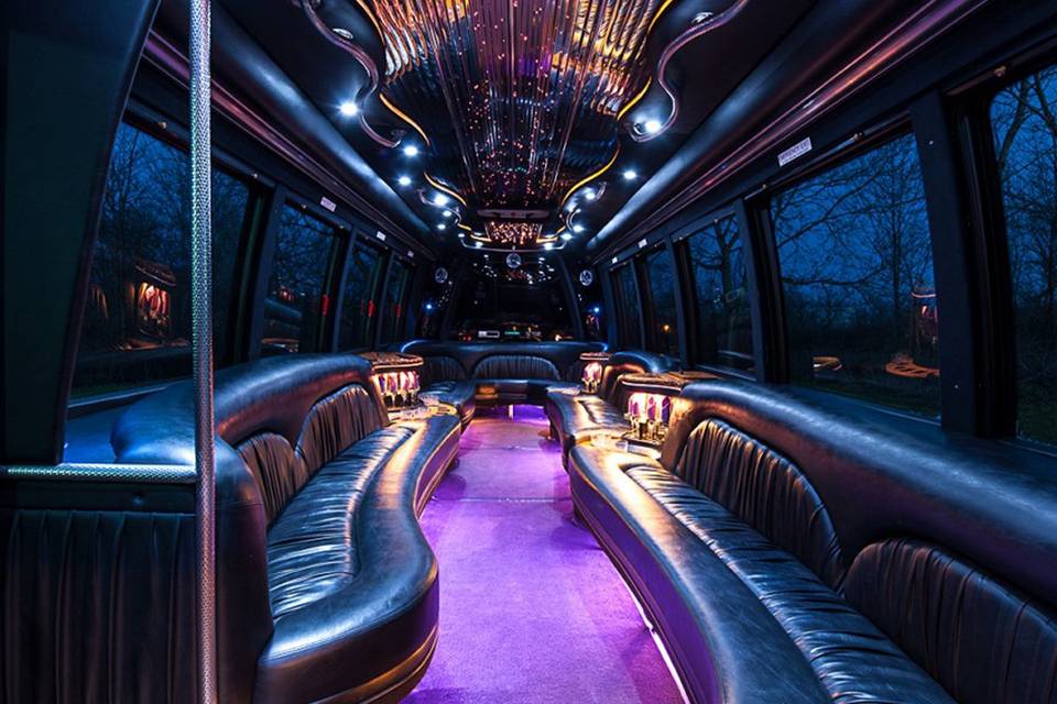 Passenger party bus