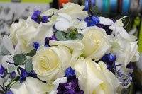 White roses, white dendrobium orchids, deep blue delphinium, seeded ecualyptus, cascading bouquet.