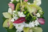 Green cymbidium orchid, white stock, pink mini calla lilies, green hypericum berries bouquet