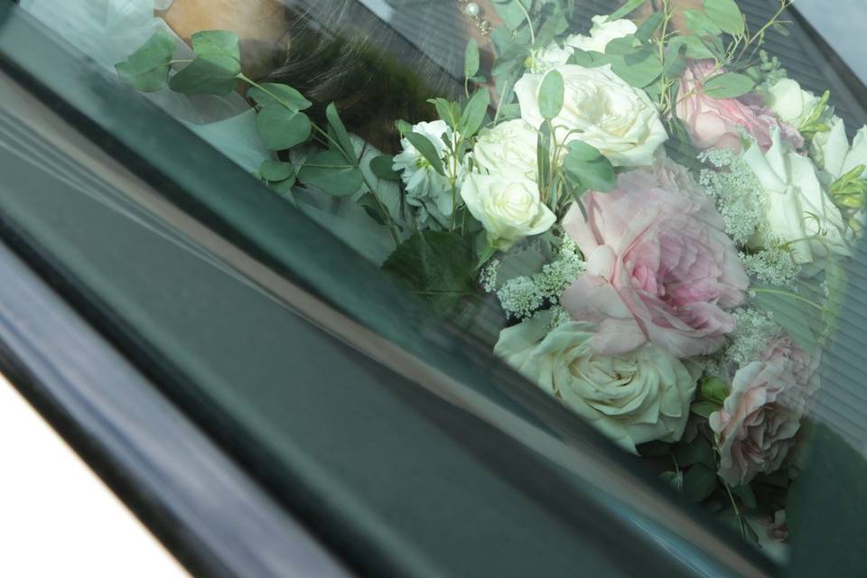 Beauty through the window