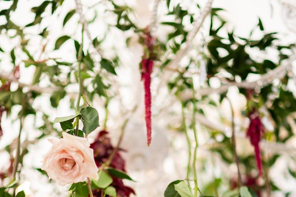 Chandelier Florals