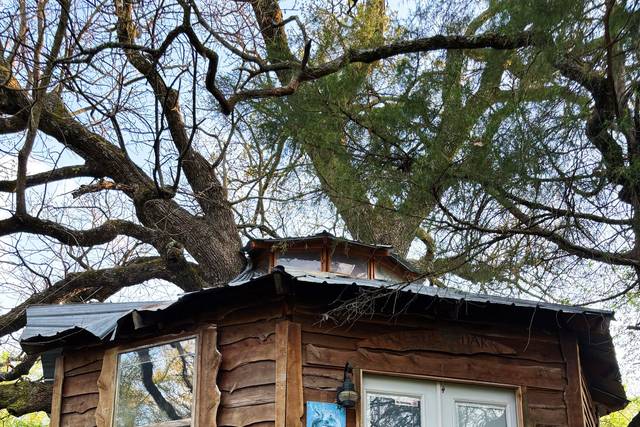 Majestic Oak Treehouse