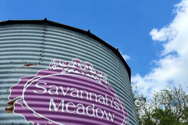 Savannah's Meadow