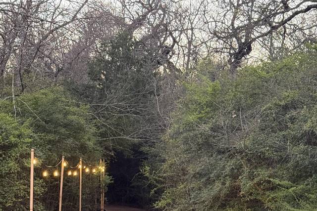 Lighted trail from treehouse