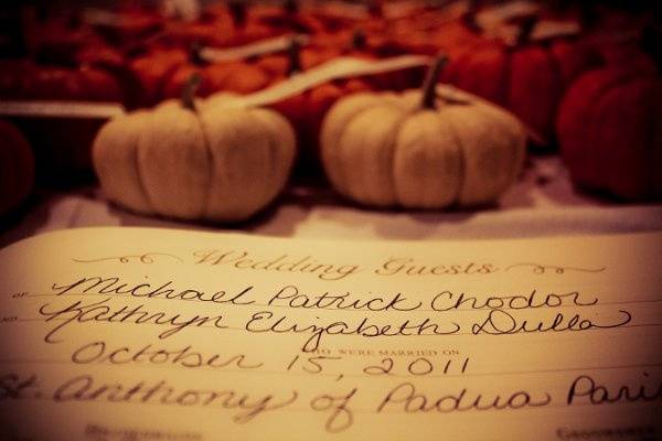 Cathy Lee Photography
