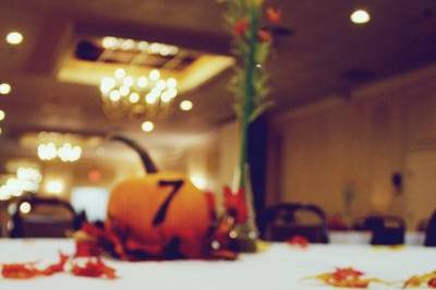 Cathy Lee Photography