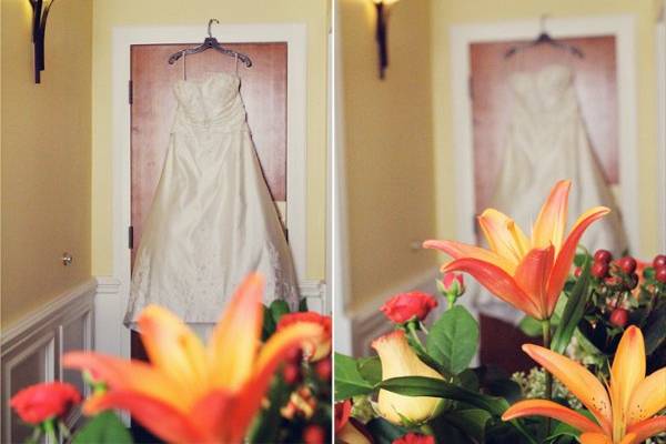 Cathy Lee Photography