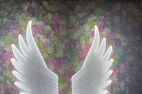 LED angel wings with backdrop