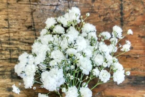 Fresh Baby's Breath, Salal & Seeded Eucalyptus Garland By Pacific Garland -  Pacific Garland, LLC