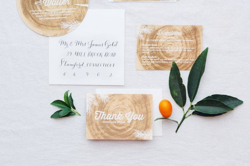 Calligraphy for a feature written and styled by Beth Helmstetter for the Pottery Barn Wedding blog. Photos by Steve Steinhardt. All invitations provided by Wedding Paper Divas from the Pottery Barn and Wedding Paper Divas Curated Collection.