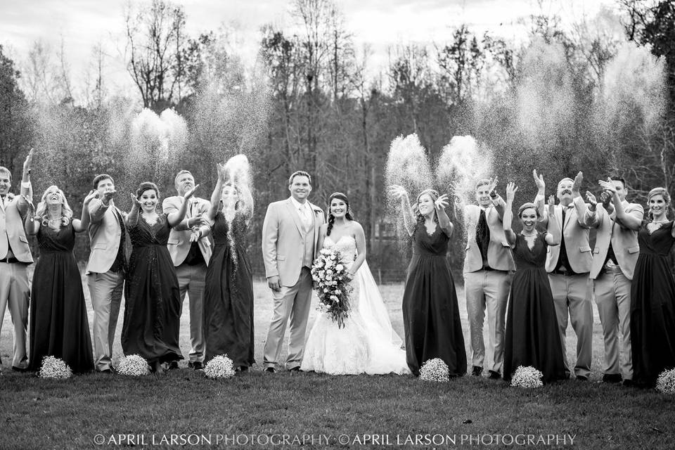 The couple with the bridesmaids and groomsmen