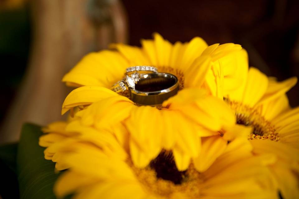 Novia Bella Photography