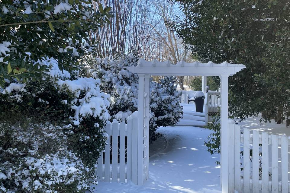Trellis - Winter