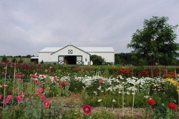 Folls Flower Farm