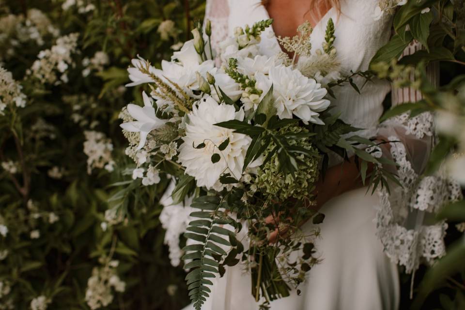 White Dahlias