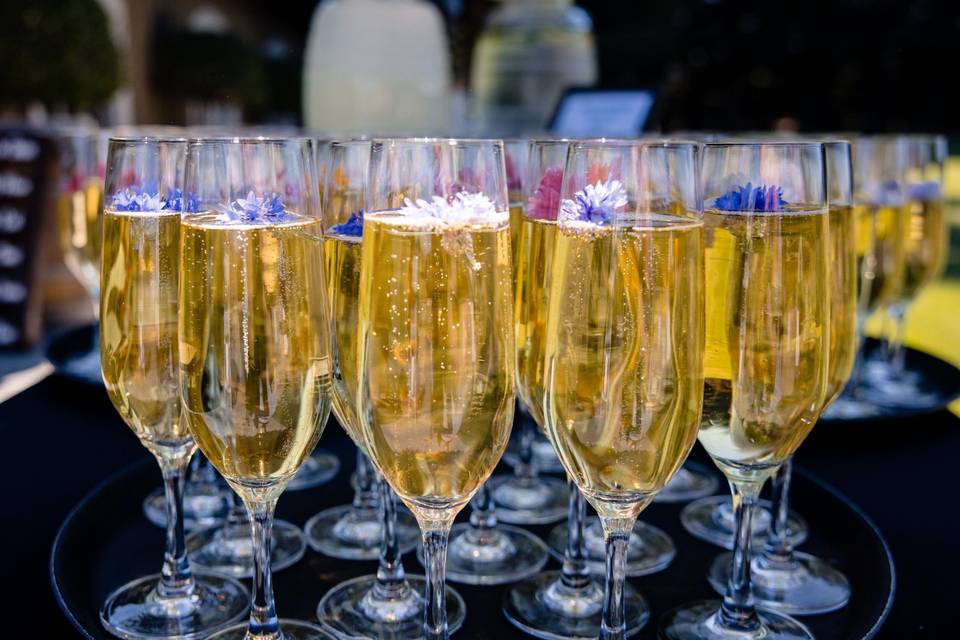 Bubbles & Flowers