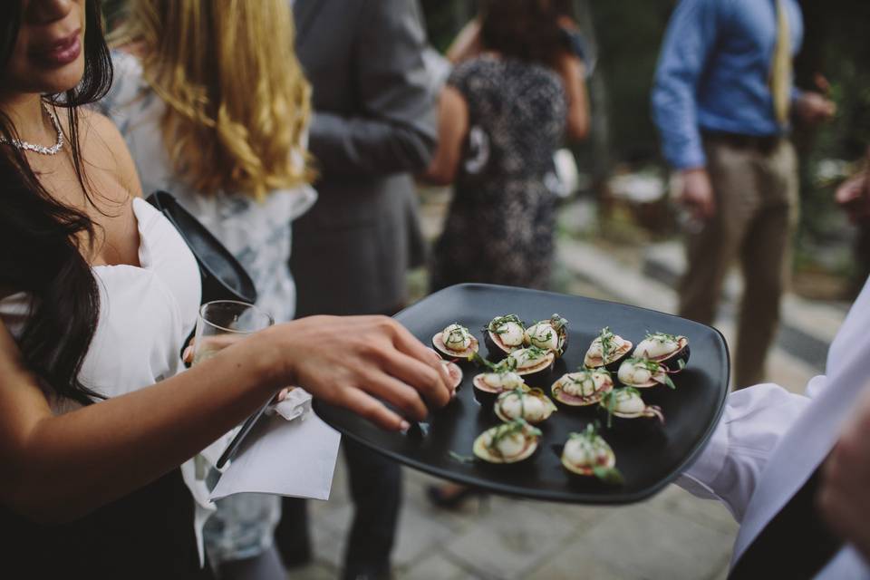 Figs & Mozzarella apps