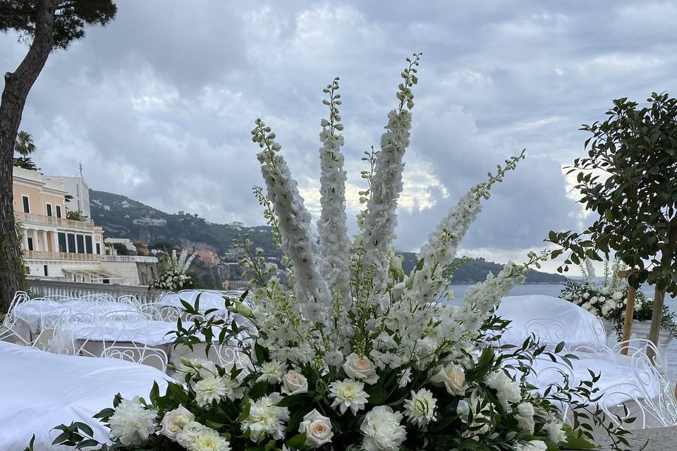 Composition with delphinium