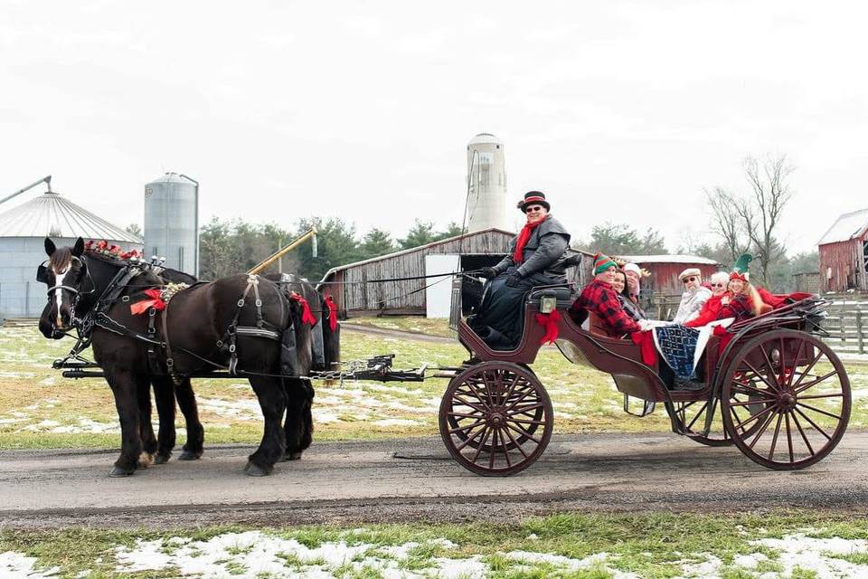 Harmon's Horse Drawn Carriages + White Mares for Baraats