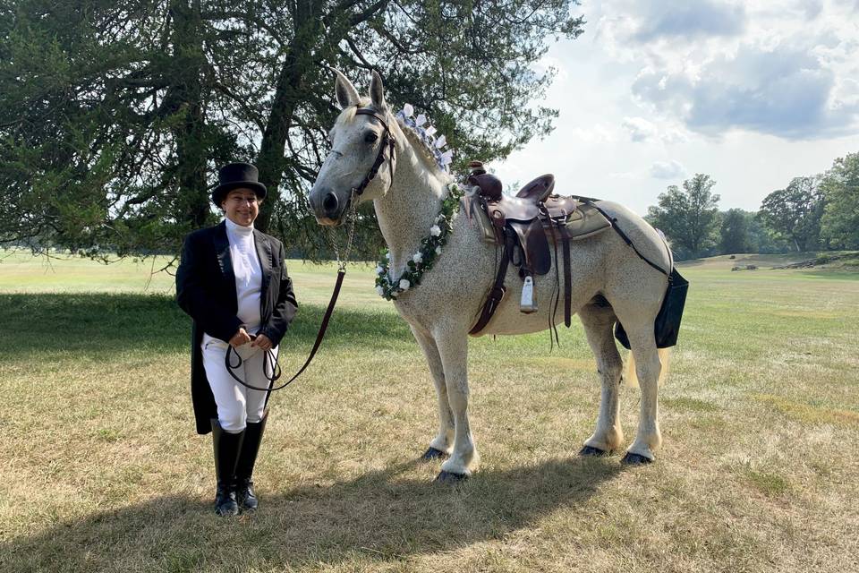 Harmon's Horse Drawn Carriages + White Mares for Baraats