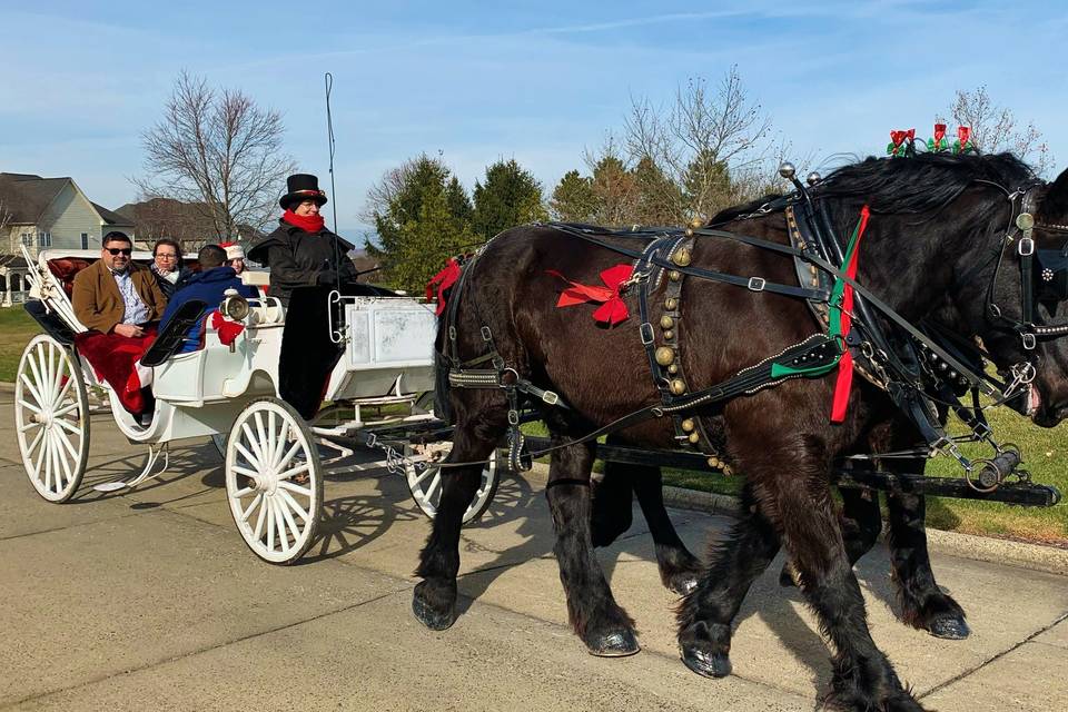 Harmon's Horse Drawn Carriages + White Mares for Baraats