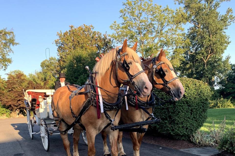 Summertime wedding arrival