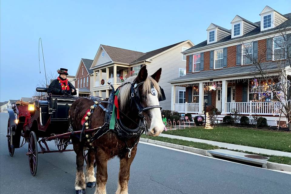 Harmon's Horse Drawn Carriages + White Mares for Baraats