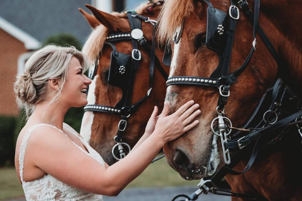 Bride with horses