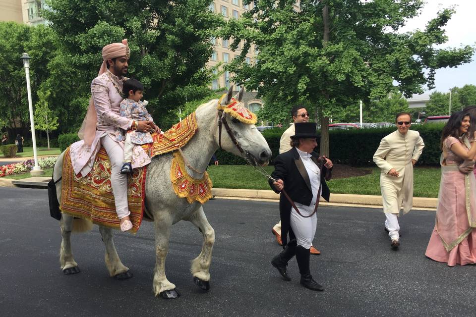 Harmon's Horse Drawn Carriages + White Mares for Baraats