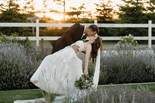 Bella Vista Wedding