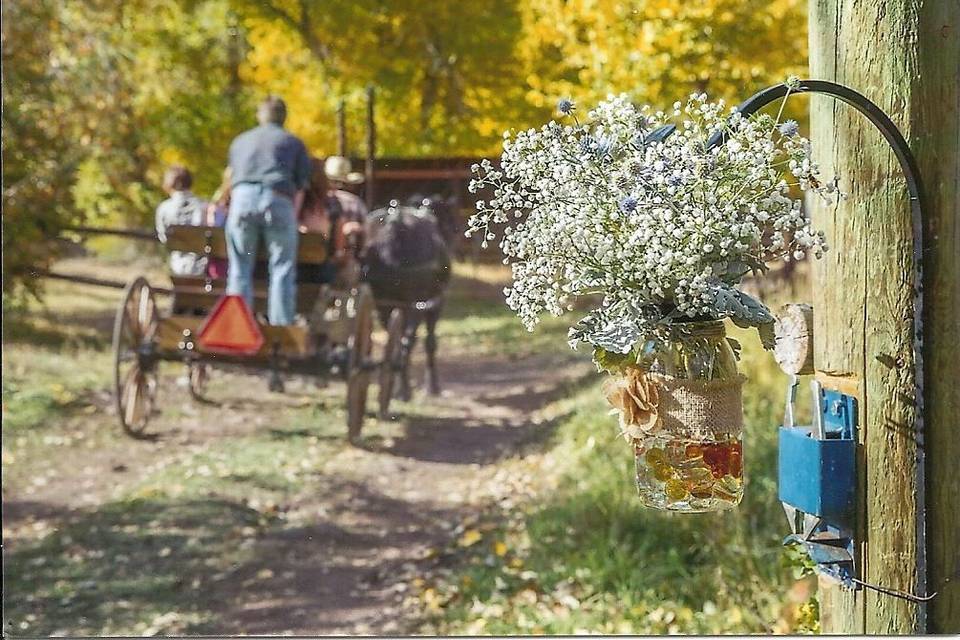 Darcee the Flower Lady