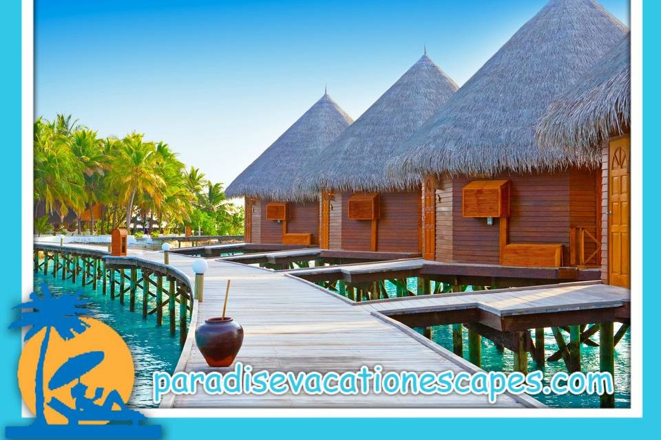 Paradise Vacation Escapes