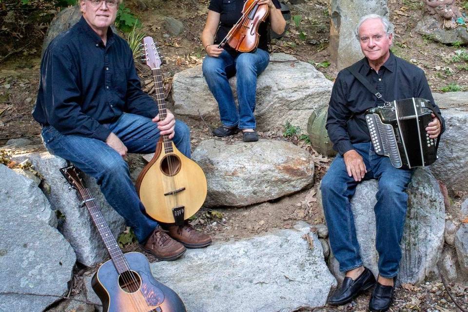 New Leaf Irish Band