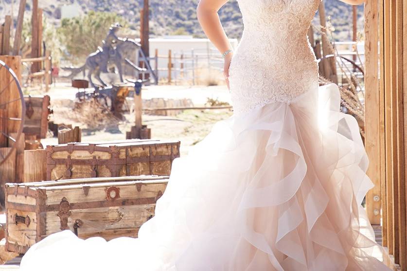 Plus size wedding dress