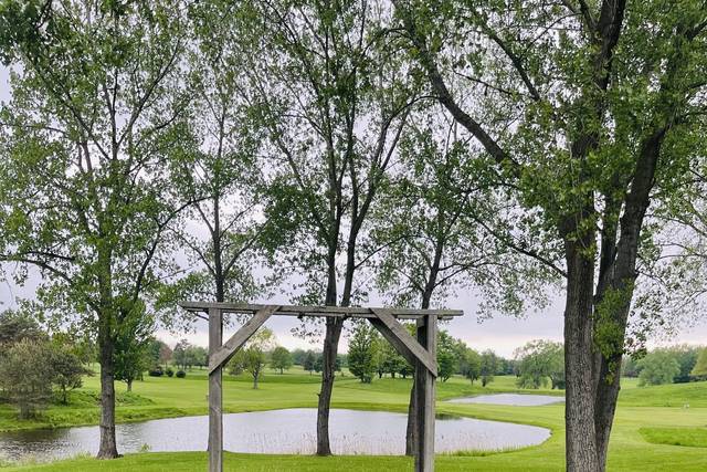 Pond view