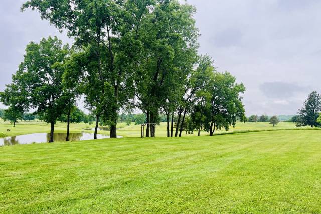 Beautiful view