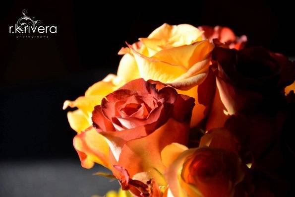 r.k.rivera photography