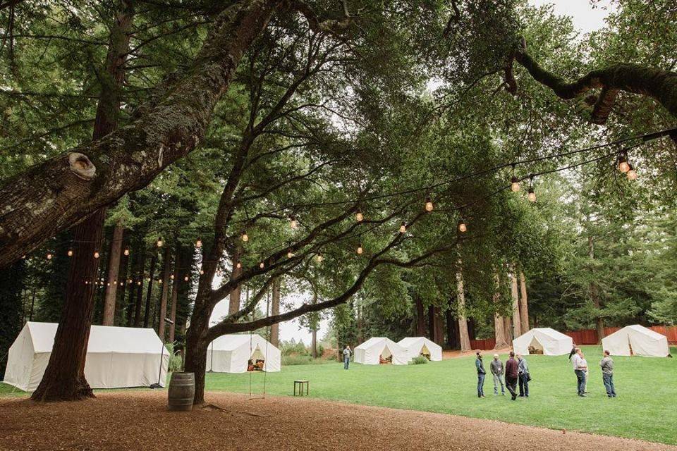 Wedding tents