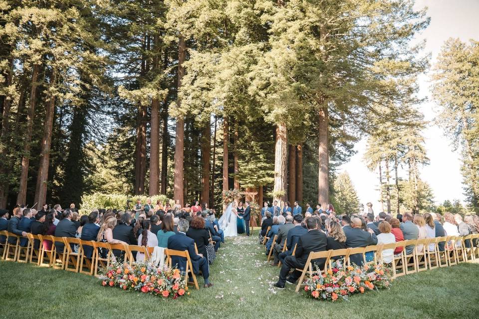 Redwood View