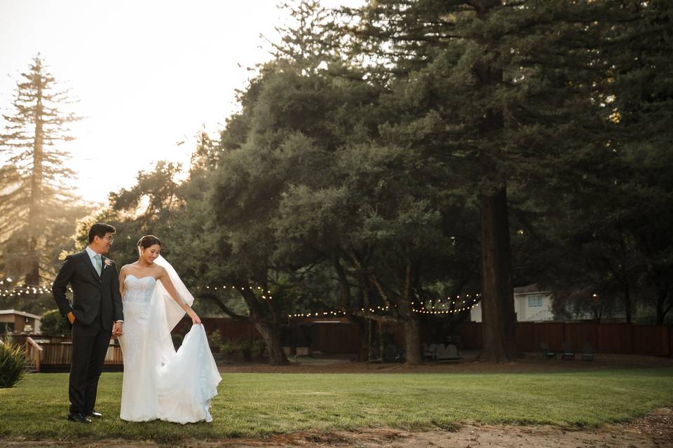 Golden hour on the lawn