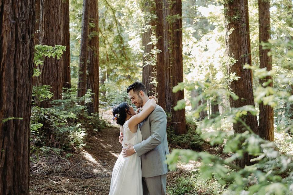 Down in the Redwoods