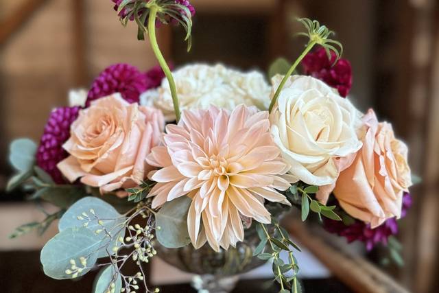 Cafe au lait dahlias