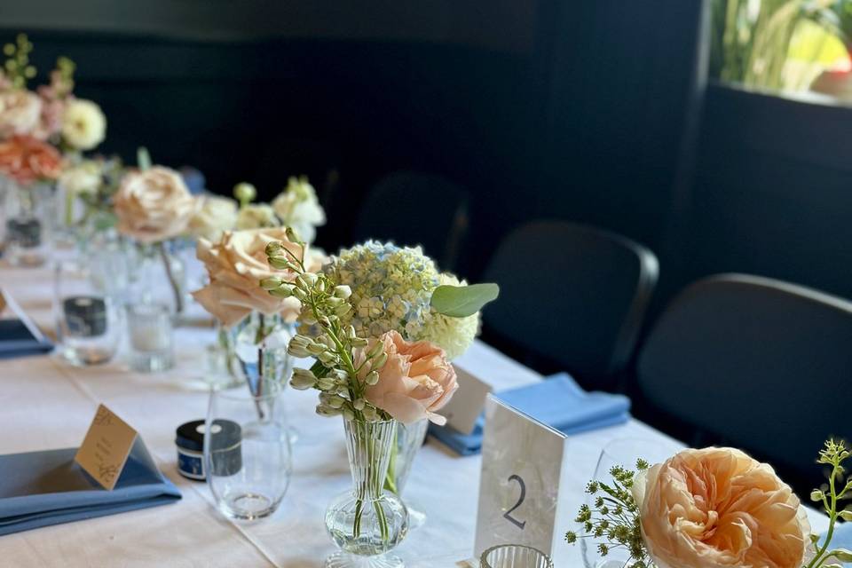 Gorgeous roses