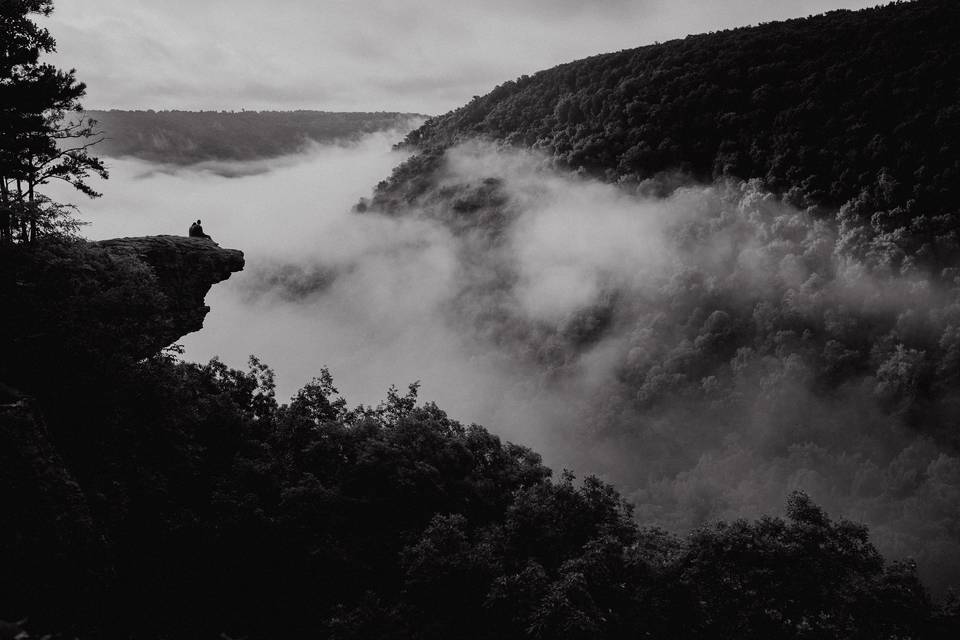 Ozark National Forest Fog