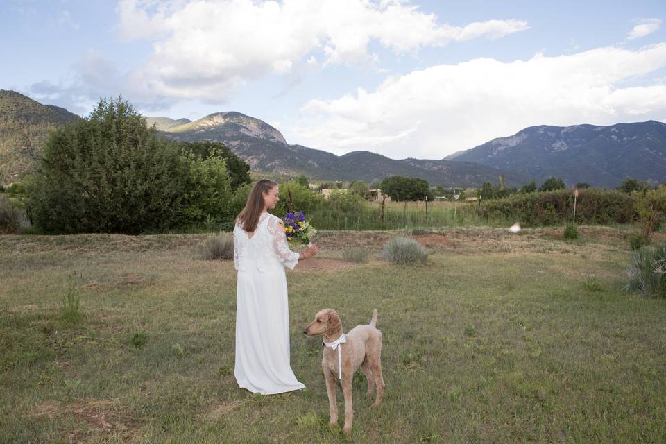 Bride and poodle-- Arroyo Seco