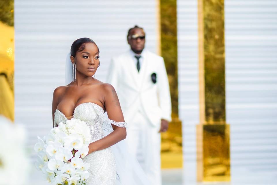 Luxury Platinum bride